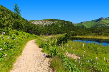 Yol boyunca gölde Tatra Dağları, Slovakya