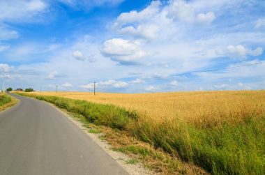 Kırsal yol buğday alanında yaz peyzaj, Polonya