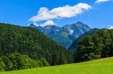 Yeşil Vadi beyaz bulutlar üzerinde dağlar, Tatra Dağları, Javorina, Slovakya