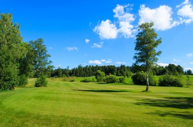 Golf Sahası görünümü Tatra Dağları ağaç, Tatranska Lomnica, Slovakya