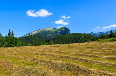 Alan kırsal yaz manzara, Tatra Dağları (Bielskie), Slovakya saman