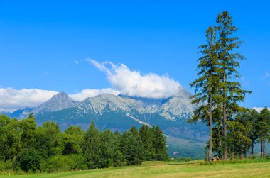 Golf Sahası görünümü Tatra Dağları ağaç, Tatranska Lomnica, Slovakya