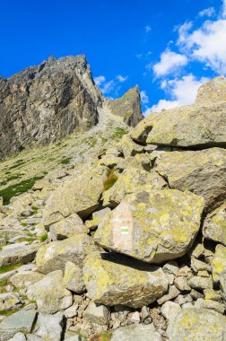 Yaz manzara Tatra Dağları 5 lakes Valley, Slovakya