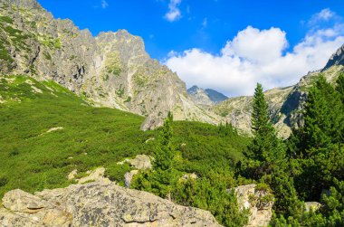 Yaz manzara Tatra Dağları 5 lakes Valley, Slovakya