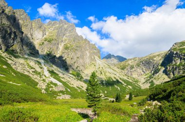 Yaz manzara Tatra Dağları 5 lakes Valley, Slovakya
