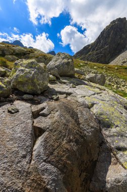 Dağ dağ Vadisi taş yaz manzara, 5 lakes valley (Piat Spisskich Ples), yüksek Tatras, Slovakya kayalar