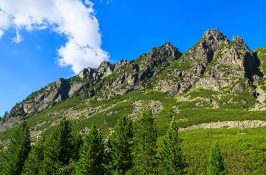 Dağlar yeşil çam ağaçları görüntülemek, 5 lakes valley (Piat Spisskich Ples), yüksek Tatras, Slovakya iz