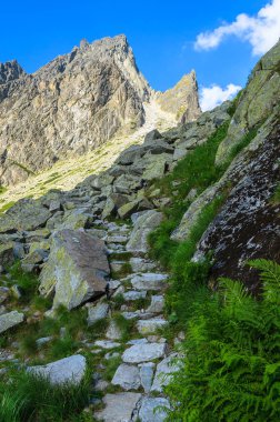 Yaz manzara Tatra Dağları 5 lakes Valley, Slovakya
