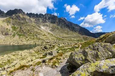 Vadi yaz peyzaj Tatra Dağları, Slovakya'nın görünümünü
