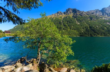 Güzel yeşil su Morskie Oko Gölü, Tatra Dağları, Polonya