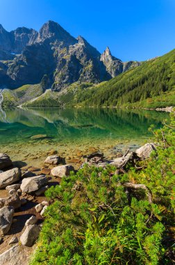 Yeşil su dağı Morskie Oko Gölü, Tatra Dağları, Polonya