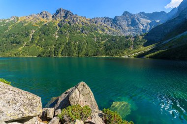 Güzel yeşil su Morskie Oko Gölü, Tatra Dağları, Polonya