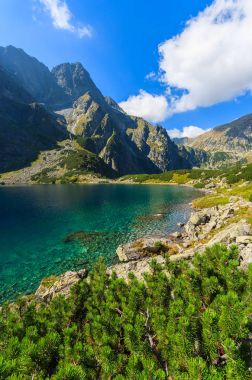 Güzel Czarny have göl yaz, Tatra Dağları, Polonya