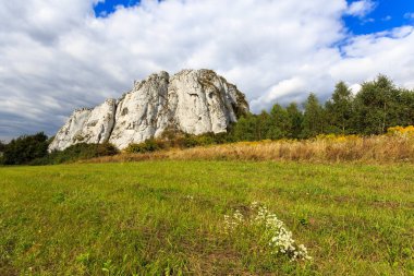 Yaz yatay, kalker kayalar yakınındaki Krakow, Polonya