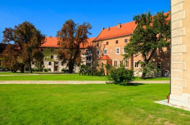 Güzel Wawel Kalesi yaz aylarında, Krakow, Polonya