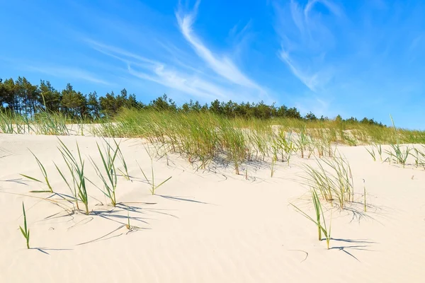 Hierba Duna Hermosa Playa Del Mar Báltico Cerca Leba Polonia — Foto de Stock