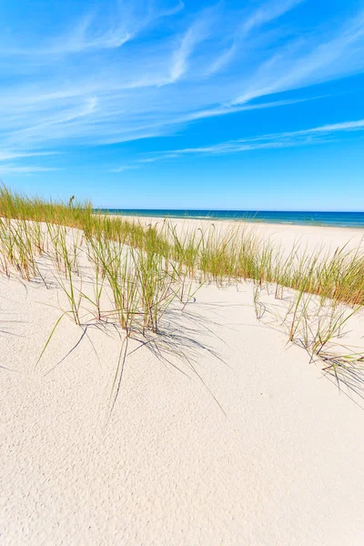 Χόρτο Στις Αμμοθίνες Στην Όμορφη Παραλία Της Βαλτικής Θάλασσας Κοντά — Φωτογραφία Αρχείου