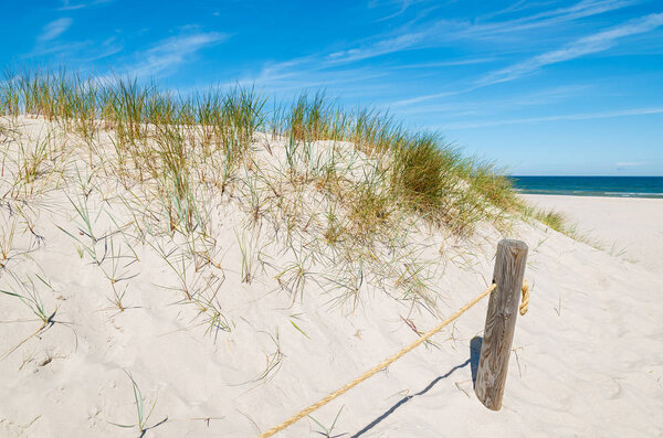 Wooden pole on dune on beach in Slowinski National Park, Poland