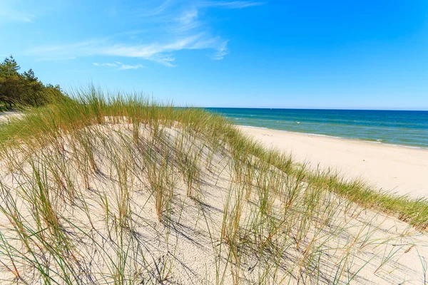 Herbe Sur Les Dunes Sur Belle Plage Mer Baltique Près — Photo