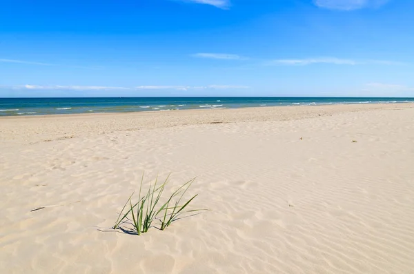 Pięknej Piaszczystej Plaży Pobliżu Leba Morze Bałtyckie Polska — Zdjęcie stockowe