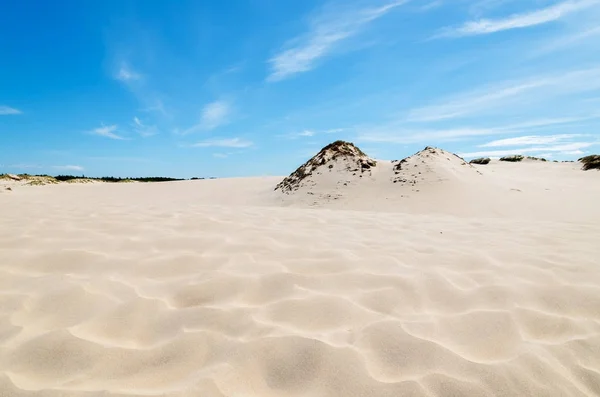 Duna Arena Parque Nacional Slowinski Polonia — Foto de Stock