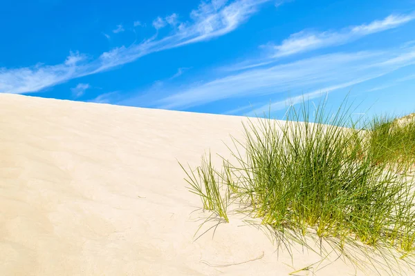 Hierba Duna Hermosa Playa Del Mar Báltico Cerca Leba Polonia — Foto de Stock