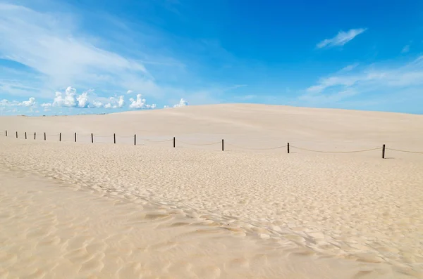 Postes Madera Duna Arena Parque Nacional Slowinski Polonia — Foto de Stock