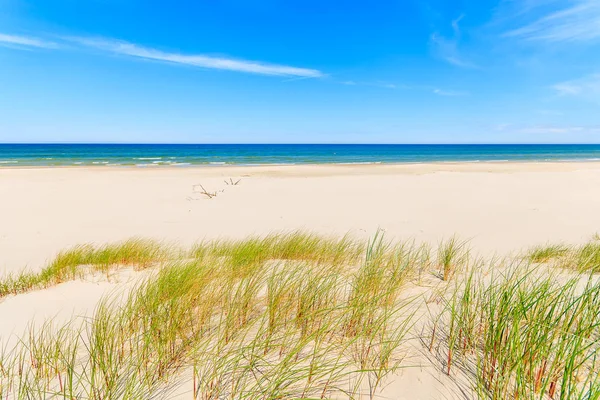 Trawa Wydmy Plaży Nad Morzem Bałtyckim Polska — Zdjęcie stockowe