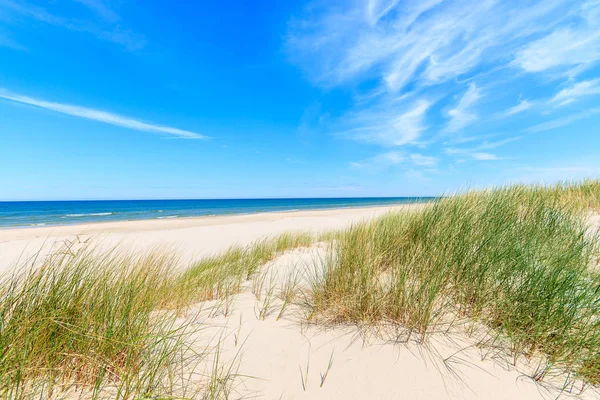 Dunes Leba, Polonya yakınındaki güzel Baltık Denizi plajında çimen