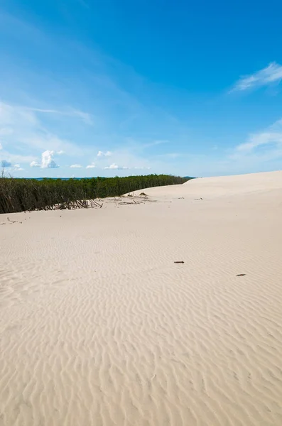 Duna Arena Parque Nacional Slowinski Polonia — Foto de Stock