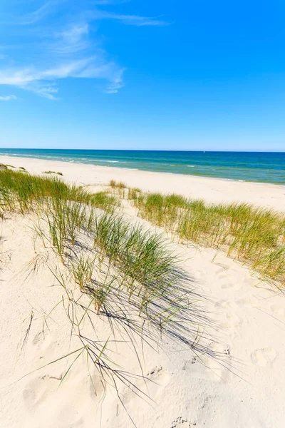 Dunes Leba, Polonya yakınındaki güzel Baltık Denizi plajında çimen