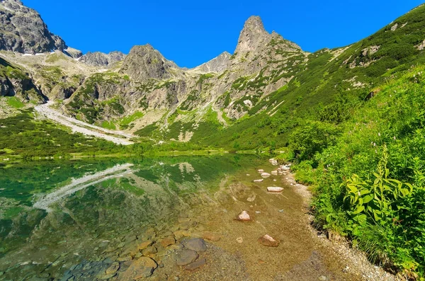 Зелений Води Гірське Озеро Літній Сезон Kezmarska Долини Гори Татри — стокове фото