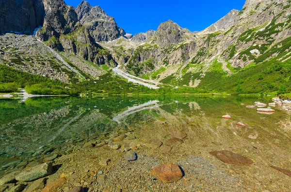 Grönt Vatten Fjällsjö Sommarsäsongen Kezmarska Valley Tatrabergen Slovakien — Stockfoto