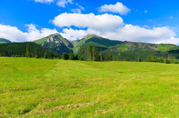Зеленый летний пейзаж Татр в Здиаре, Словакия

