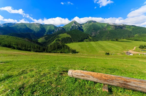 Wooden log on green field valley in summer landscape, Tatra Mountains (Bielskie), Zdiar, Slovakia