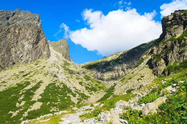 Sommarlandskap Tatra Bergen Sjöar Valley Slovakien — Stockfoto