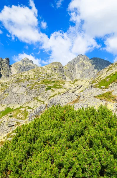 Paisaje Verano Las Montañas Tatra Valle Lagos Eslovaquia —  Fotos de Stock