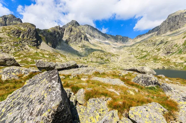 Kameny Horských Alpských Údolí Letní Sezóně Jezer Údolí Piat Spisskich — Stock fotografie