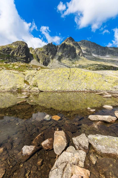 Stenar Alpina Sjön Sommar Tatrabergen Slovakien — Stockfoto