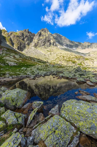 Stenar Alpina Sjön Sommar Tatrabergen Slovakien — Stockfoto