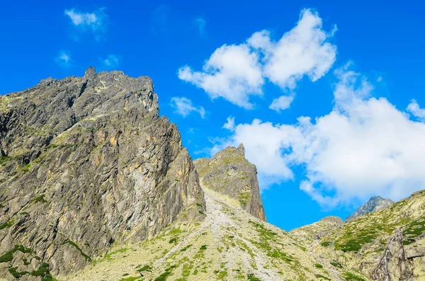 Sommarlandskap Tatra Bergen Sjöar Valley Slovakien — Stockfoto