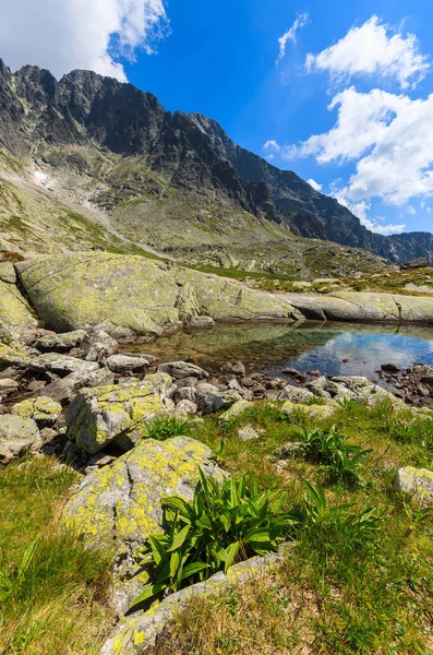 Vacker Sjö Sommarlandskap Tatrabergen Slovakien — Stockfoto