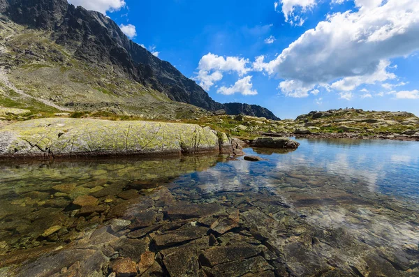 Kövek Alpesi Nyáron Tátra Szlovákia — Stock Fotó