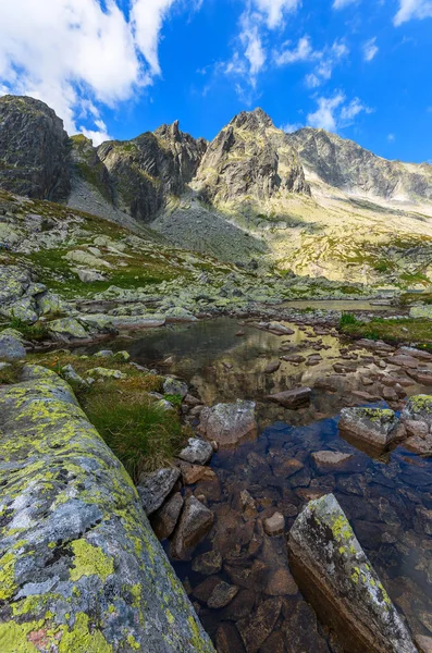 Stenar Alpina Sjön Sommar Tatrabergen Slovakien — Stockfoto