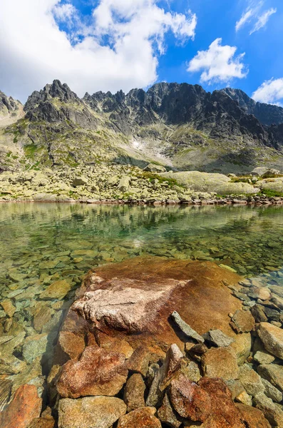 Stenar Alpina Sjön Sommar Tatrabergen Slovakien — Stockfoto