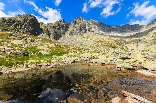 Stenar Alpina Sjön Sommar Tatrabergen Slovakien — Stockfoto