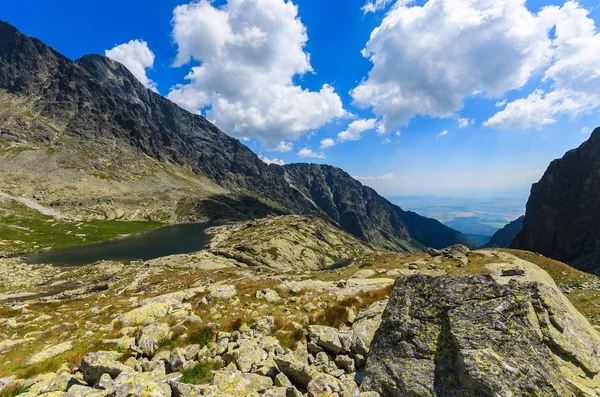 Utsikt Över Dalen Sommarlandskap Tatrabergen Slovakien — Stockfoto