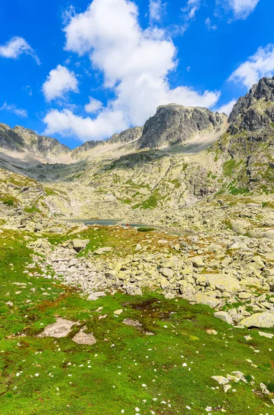 Sommarlandskap Tatra Bergen Sjöar Valley Slovakien — Stockfoto