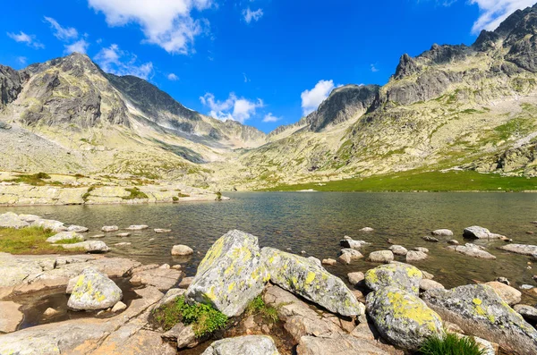 Steine Bergsee Sommer Tatra Gebirge Slowakei — Stockfoto