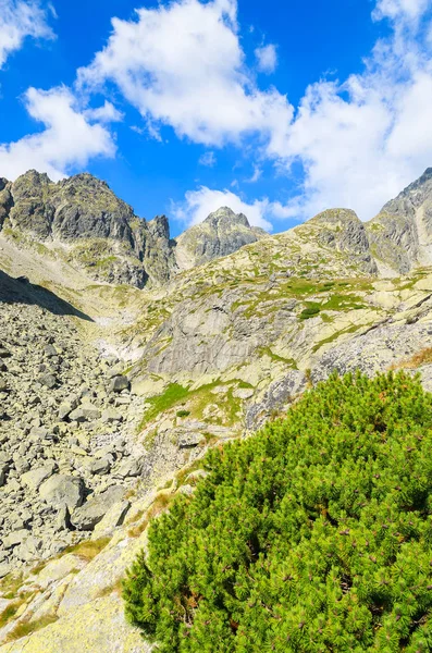 Paesaggio Estivo Dei Monti Tatra Laghi Valle Slovacchia — Foto Stock